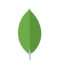 MongoDB logo